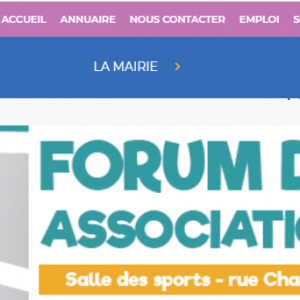 Capture d'écran du site de la ville de Provin