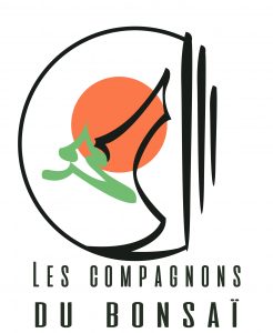 Logo de Les compagnons du Bonsaï