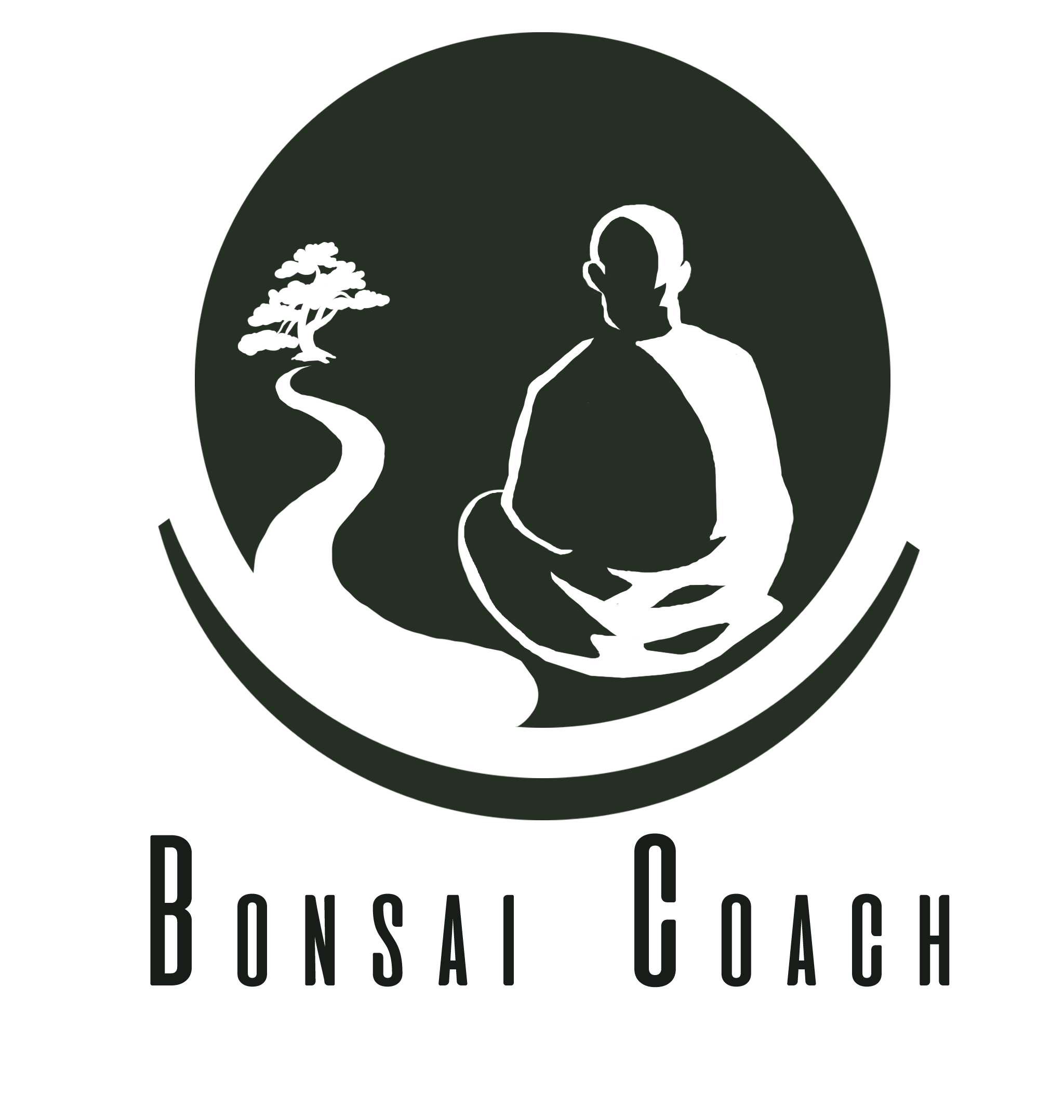 BonsaiCoach Detour Logo Bonsaï Coach