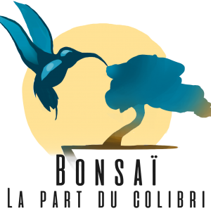 Logo Bonsaï, la part du colibri