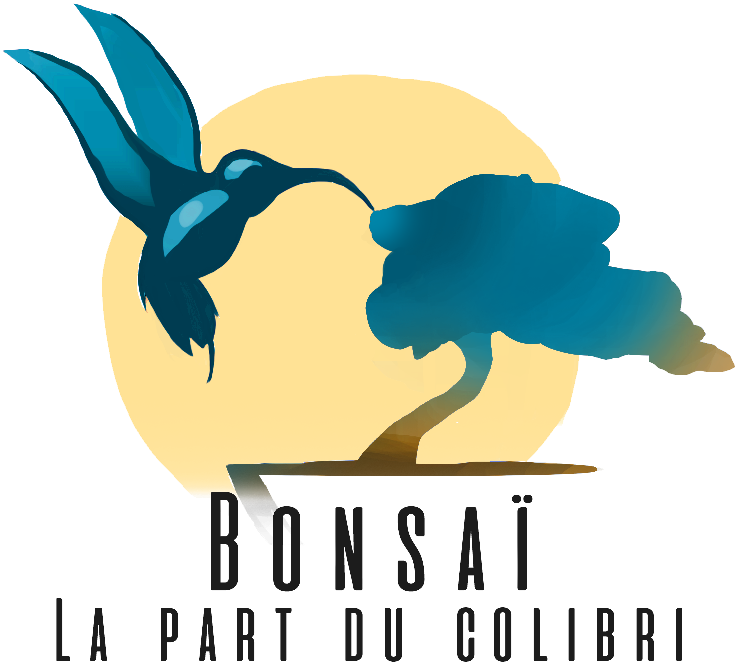 Bonsaï la part du Colibri