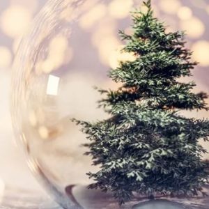 Sapin de Noël dans une boule de verre