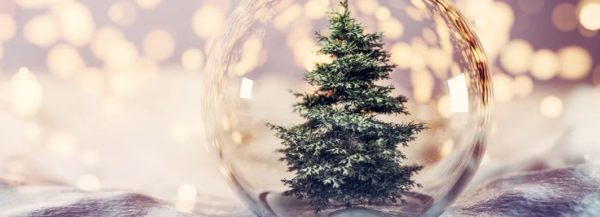 Sapin de Noël dans une boule de verre