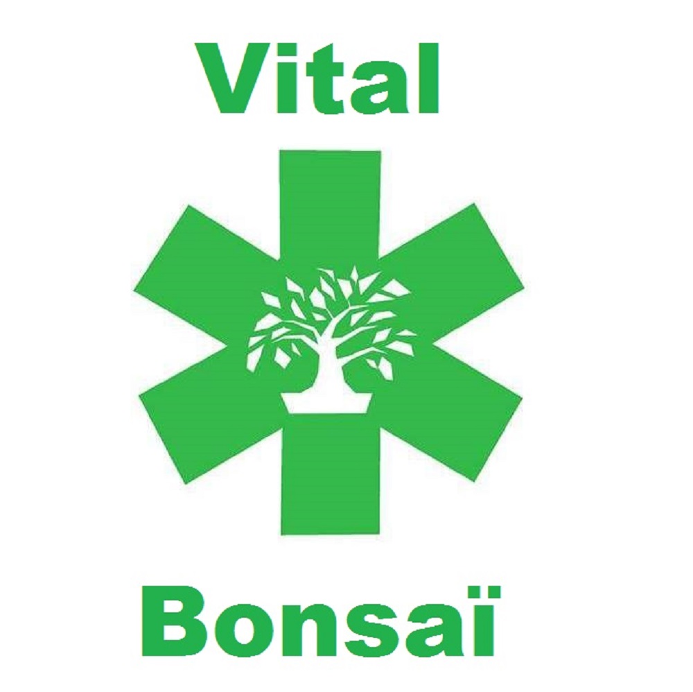 vitalbonsai
